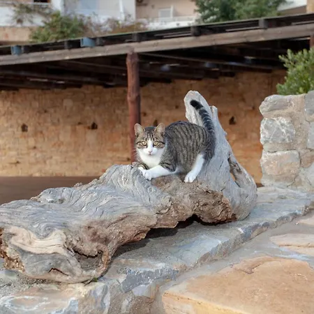 Hill Of Calm Hotel Triopetra
